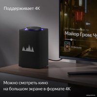 Умная колонка Яндекс Станция Макс (с хабом умного дома Zigbee, графит)