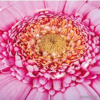 Надувной матрас Intex Pink Daisy Flower Mat 58787