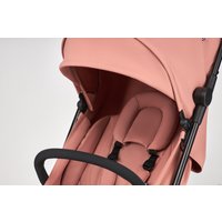 Коляска прогулочная «книга» Anex Air-z (blush Az-05)