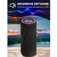 Беспроводная колонка Aiwa PAS-H200 (черный)