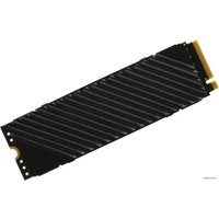 SSD Digma Top G3 512GB DGST4512GG33T