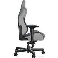 Игровое (геймерское) кресло AndaSeat T-Pro 2 (серый/черный)