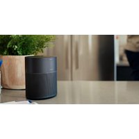 Умная колонка Bose Home Speaker 300 (черный)