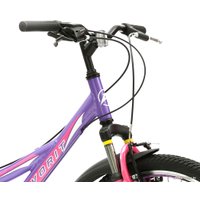 Велосипед Favorit Space 24 V (фиолетовый, 2018)