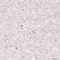 Жидкие обои Silk Plaster Санд 136