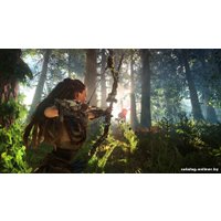  Horizon: Zero Dawn для PlayStation 4