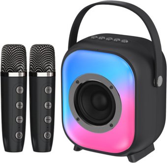 Беспроводная колонка NewRixing NR-168W (черный)