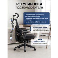 Офисное кресло Evolution LumbarPro (черный)