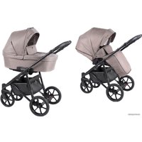 Универсальная коляска Coletto Astin 2020 (2 в 1, черная рама, AS-04)