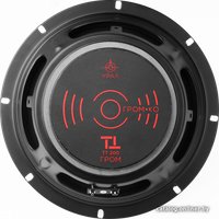 Среднечастотная АС Урал ТТ 200 Гром