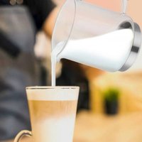 Автоматический вспениватель молока Kitfort KT-7199-1