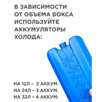 Термобокс Picnic Antarctica 32л (голубой)