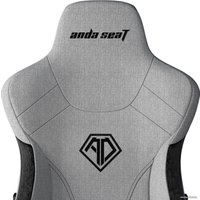 Игровое (геймерское) кресло AndaSeat T-Pro 2 (серый/черный)