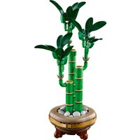 Конструктор LEGO The Botanical Collection 10344 Счастливый бамбук