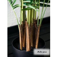 Искусственное растение Merry Bear Home Decor Пальма Ропалостилис Элит A144165 (165см)