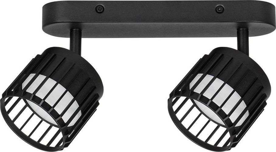 Спот Arte Lamp Atria A8031PL-2BK
