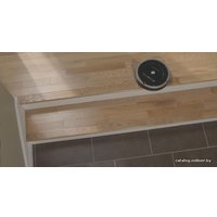 Робот-пылесос iRobot Roomba 880