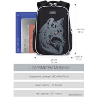 Школьный рюкзак Grizzly RB-153-4/1 (черный)