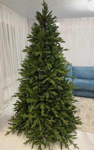 Ель GleGo Леманская (2.4 м)