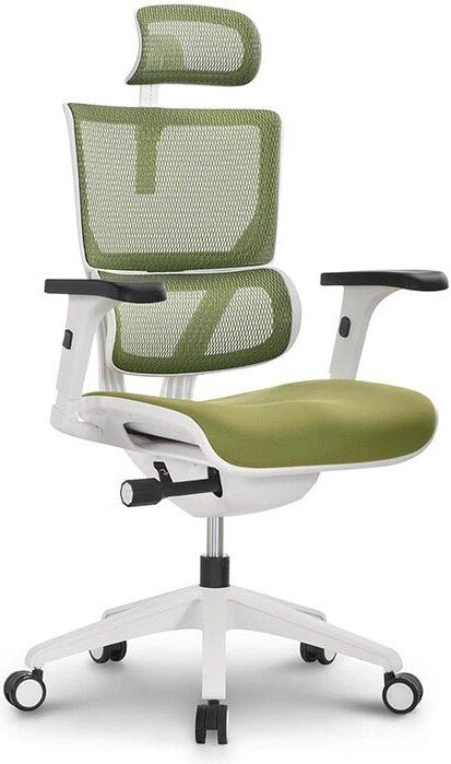 

Офисное кресло Ergostyle Vision VIM01-W (зеленый)