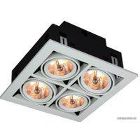 Точечный светильник Arte Lamp Cardani A5930PL-4WH