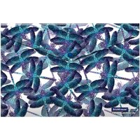 Папка-конверт Erich Krause Neon Dragonflies 55324