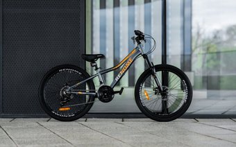 Велосипед Renome JR 24 XS (серый)