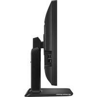 Монитор LG 24BK55WY-B