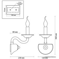 Бра Odeon Light Aria 3931/1W