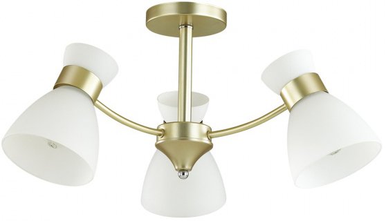 

Люстра средней высоты Lumion Wilma 4535/3C