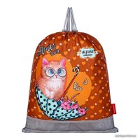 Школьный рюкзак ACROSS ACR22-490-8