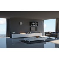 Биокамин Infire Insert 1000