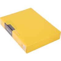 Папка для бумаг Deli Rio 5036 с файлами (желтый)
