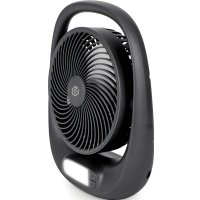 Вентилятор Evolution AirLeaf AL-101 (черный)