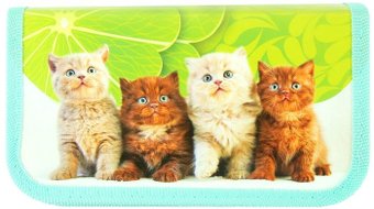 Пенал Пчелка Рыжие котята ПО-09