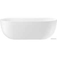 Ванна Wellsee Chic Riviera 170x76 236802004 (отдельностоящая ванна белый глянец, экран, ножки, сифон-автомат золото)