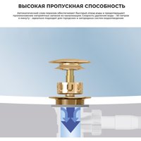 Сифон Wellsee Useful Extras 231915000 (белый/золото)