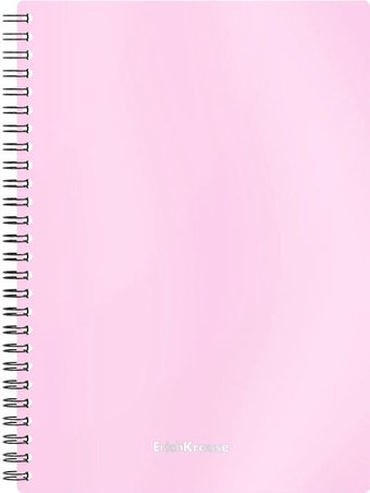Общая тетрадь Erich Krause Candy 80 л клетка 54111