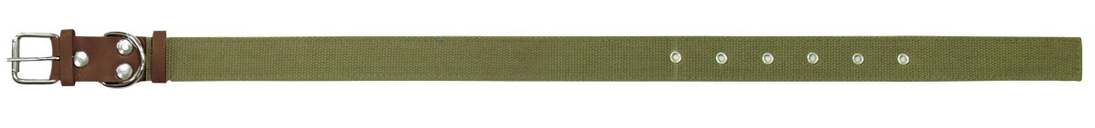 

Ошейник Zoonik 10175-1 (зеленый)