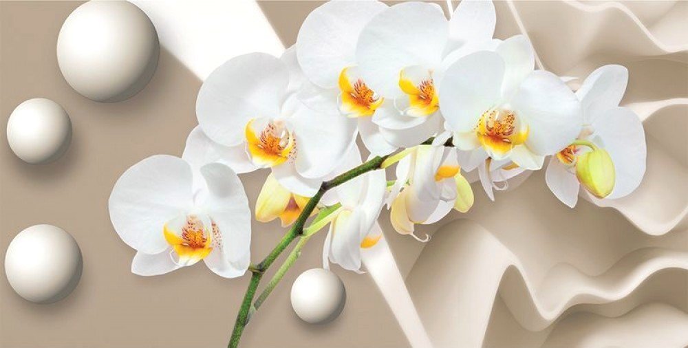 

Фотообои Citydecor Цветочный декор 6 3D с защитным покрытием 500x254