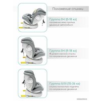 Детское автокресло Amarobaby Champion Isofix AMARO-2008CH-Se (серый)