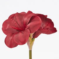 Искусственный цветок Ikea Vinterfint 90606603