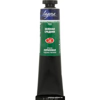 Акриловая краска Ладога 2204722 (46 мл, зеленый средний)