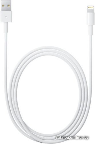 Кабель Apple USB 2.0 Type-A - Lightning (1 м, белый)