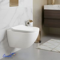 Унитаз подвесной Cerutti Amici Aria Tornado CT11388
