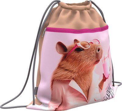 

Мешок для обуви Erich Krause CapyBarbie 63837