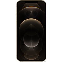Телефон Apple iPhone 12 Pro Max 128GB (золотой)