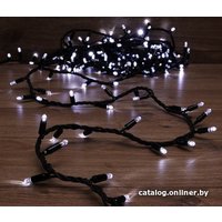 Светодиодная гирлянда ULED ULED-SL-100-24V-(B-F-W/W)