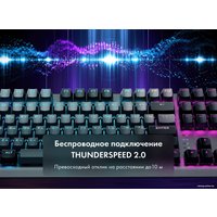 Клавиатура Thunderobot KL5087R