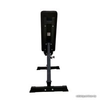 Силовая скамья DFC DZ003Y